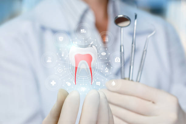 Best Full Mouth Reconstruction  in Copperas Cove, TX